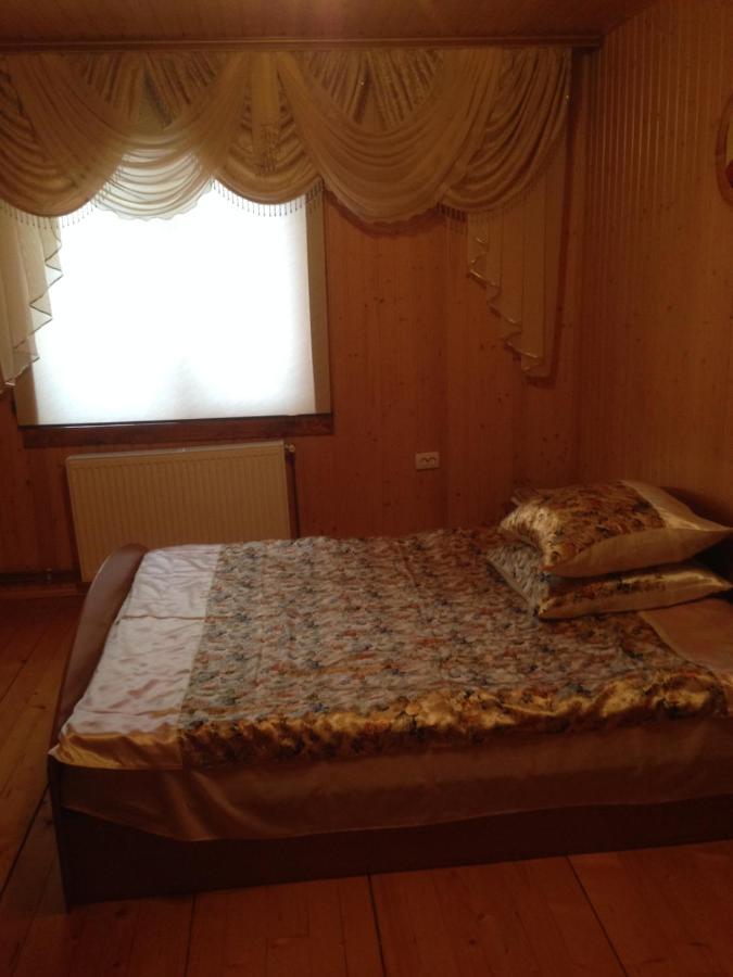 Карпатська Перлина Apartment Iltsi Bagian luar foto