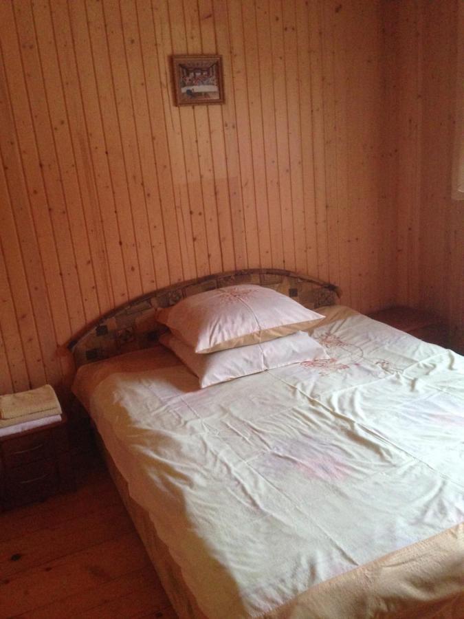 Карпатська Перлина Apartment Iltsi Bagian luar foto